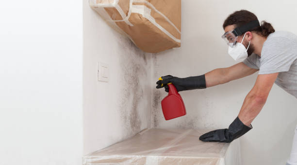 Professional Mold Remediation technician working in Coats, NC