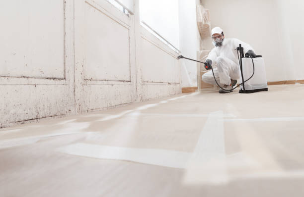 24/7 Emergency Mold Remediation experts in Coats, NC